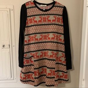 NWT Winter Fleece Dress